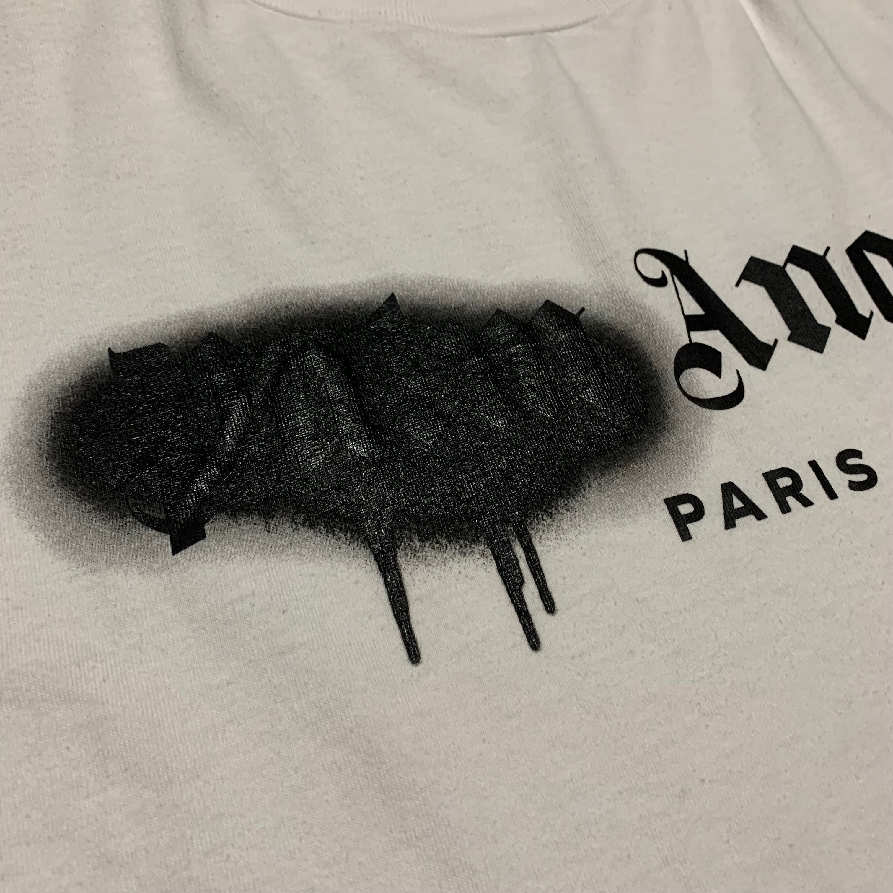 Palm Angels Small Paris Sprayed White Tee