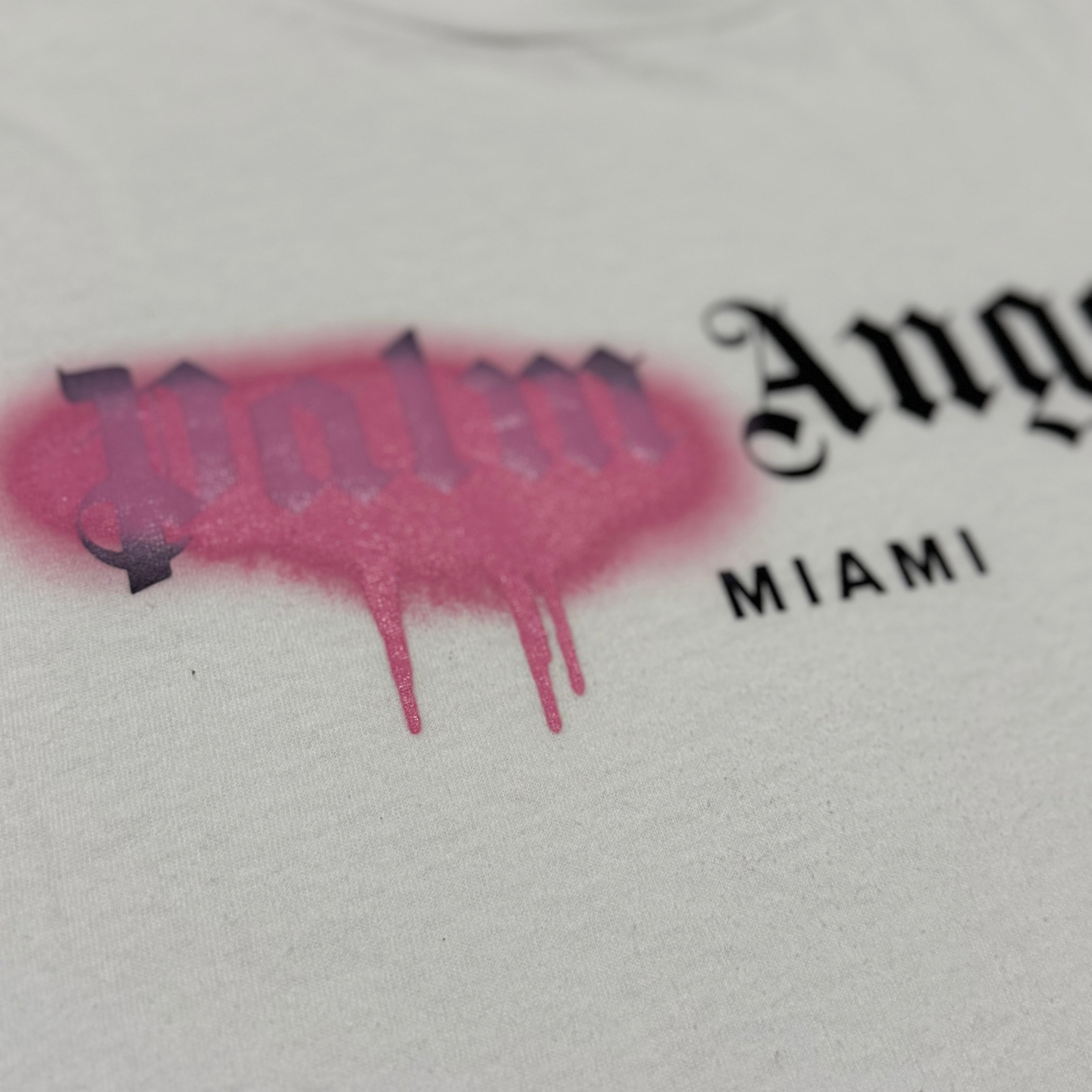 Palm Angels Small Miami Sprayed White Tee