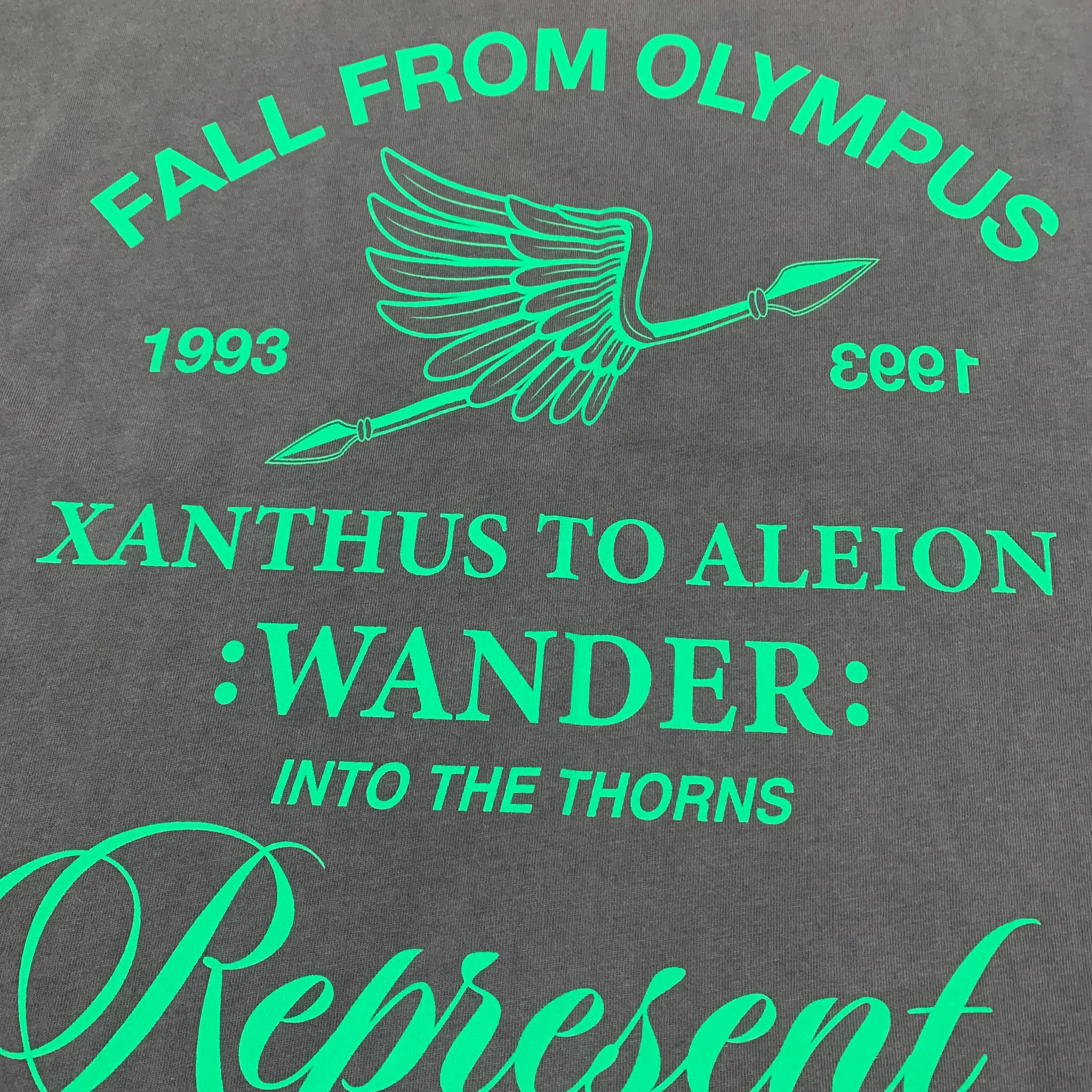 Represent XS Fall From Olympus Vintage Grey Tee