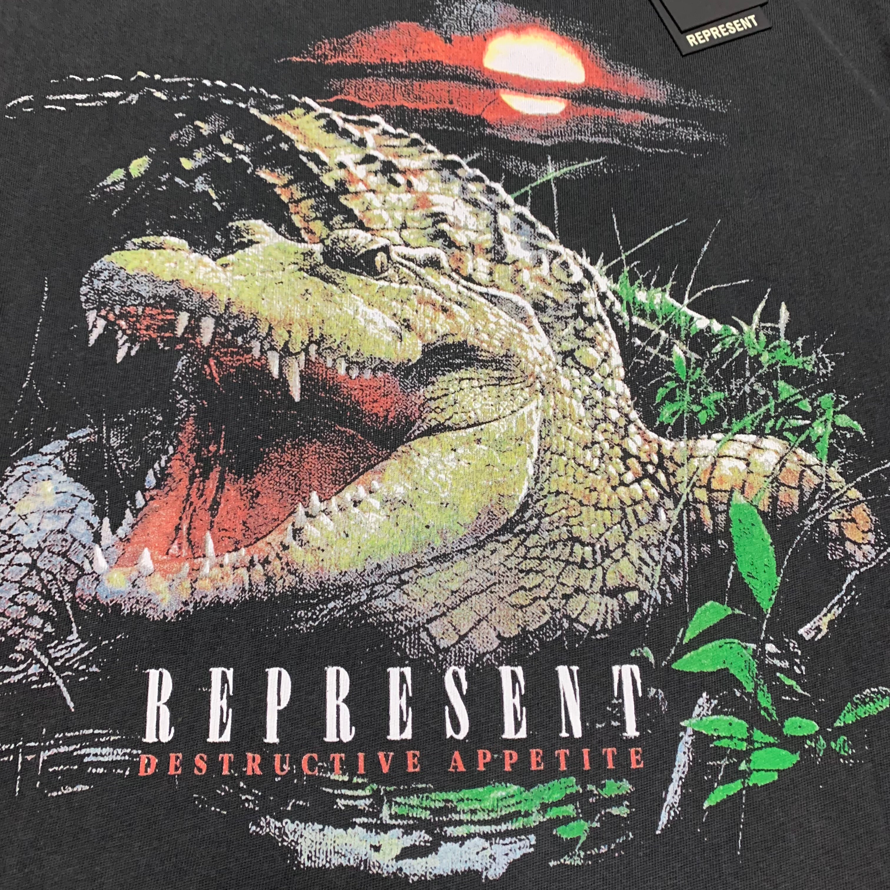 Represent Medium Destructive Appetite Vintage Grey Tee