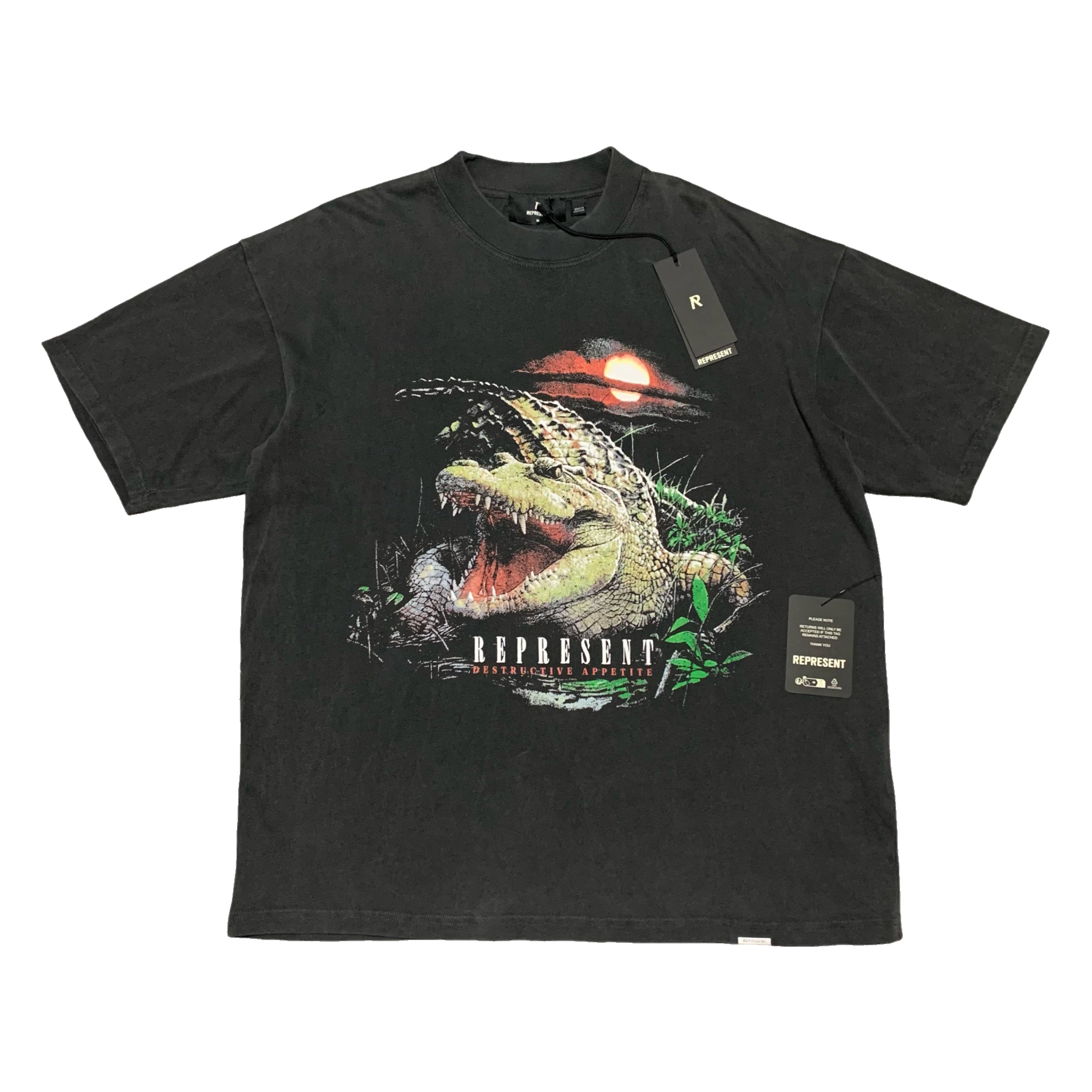 Represent Medium Destructive Appetite Vintage Grey Tee