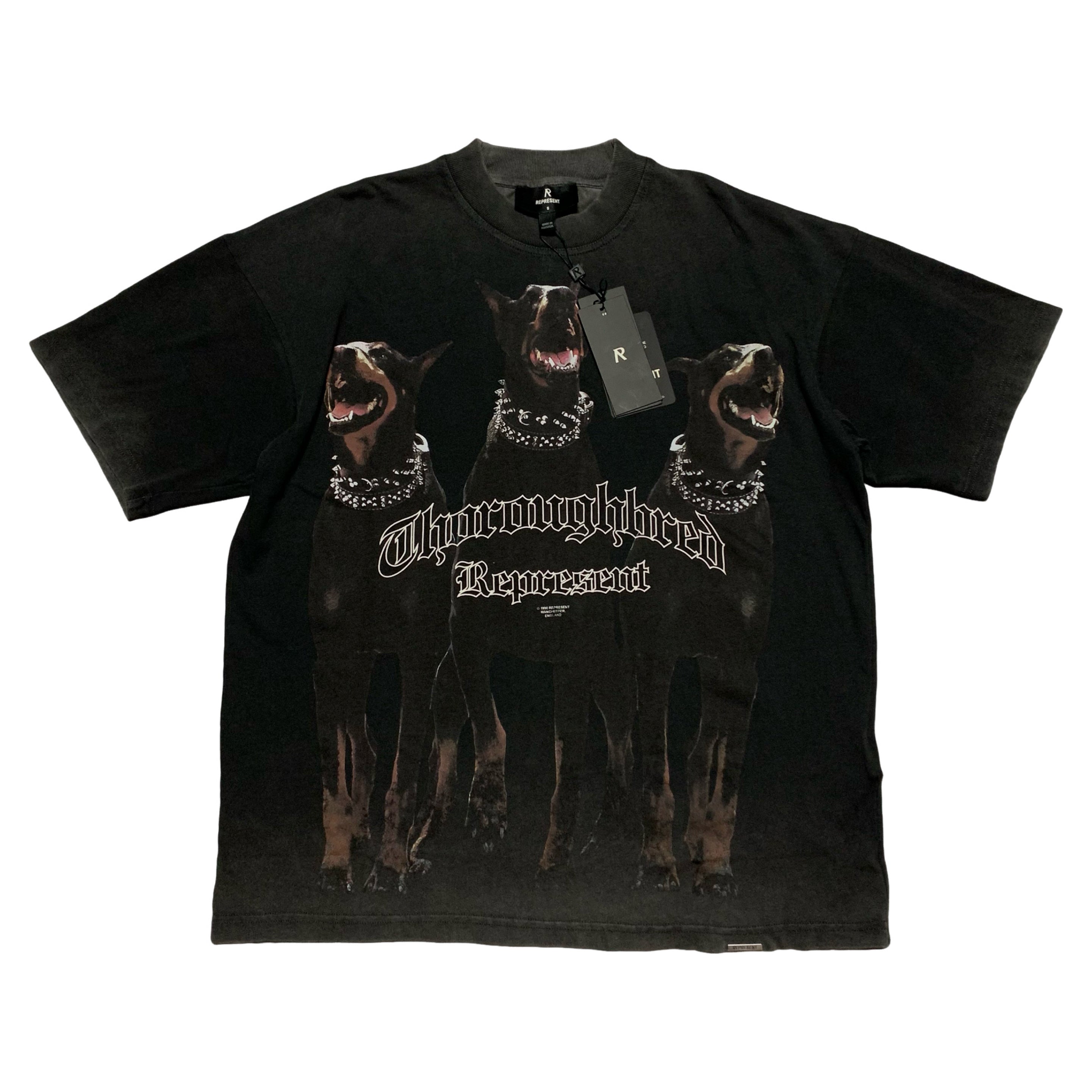 Represent Small Thoroughbred Vintage Black Tee Dog