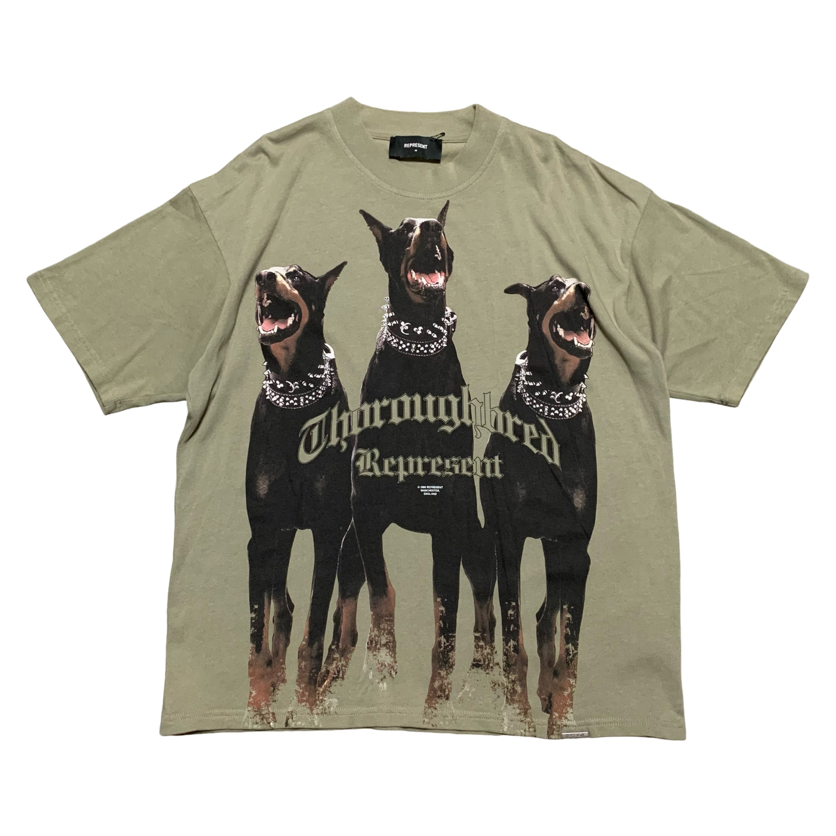 Represent Medium Thoroughbred Dog Khaki Green Tee