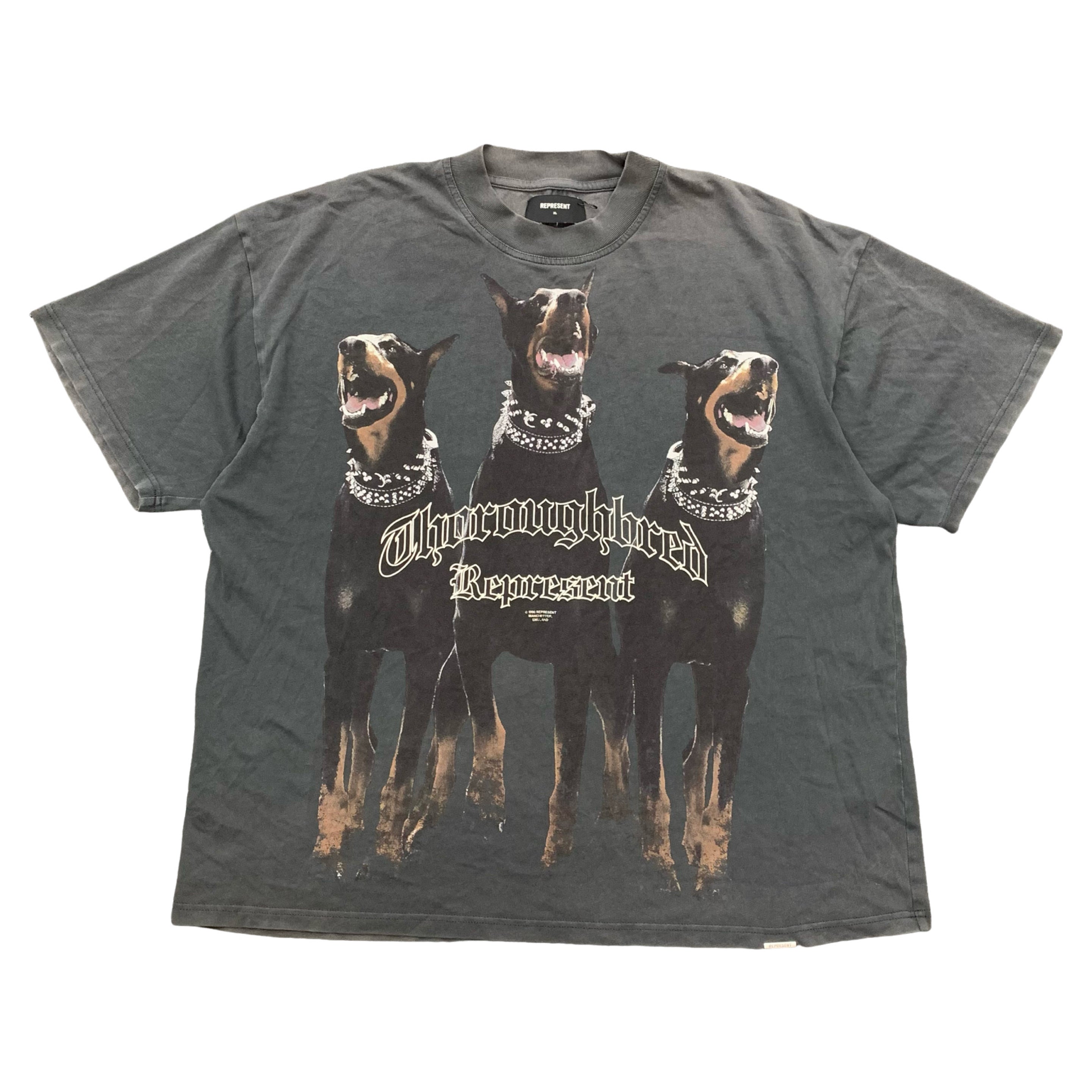 Represent XL Tee Thoroughbred Dog Vintage Black T-Shirt