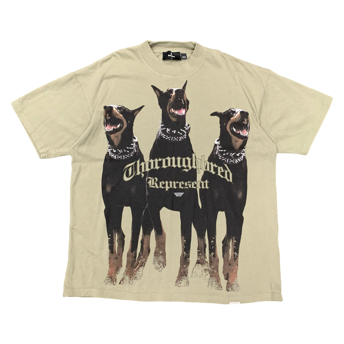 Represent Medium Tee Thoroughbred Dog Green T-Shirt
