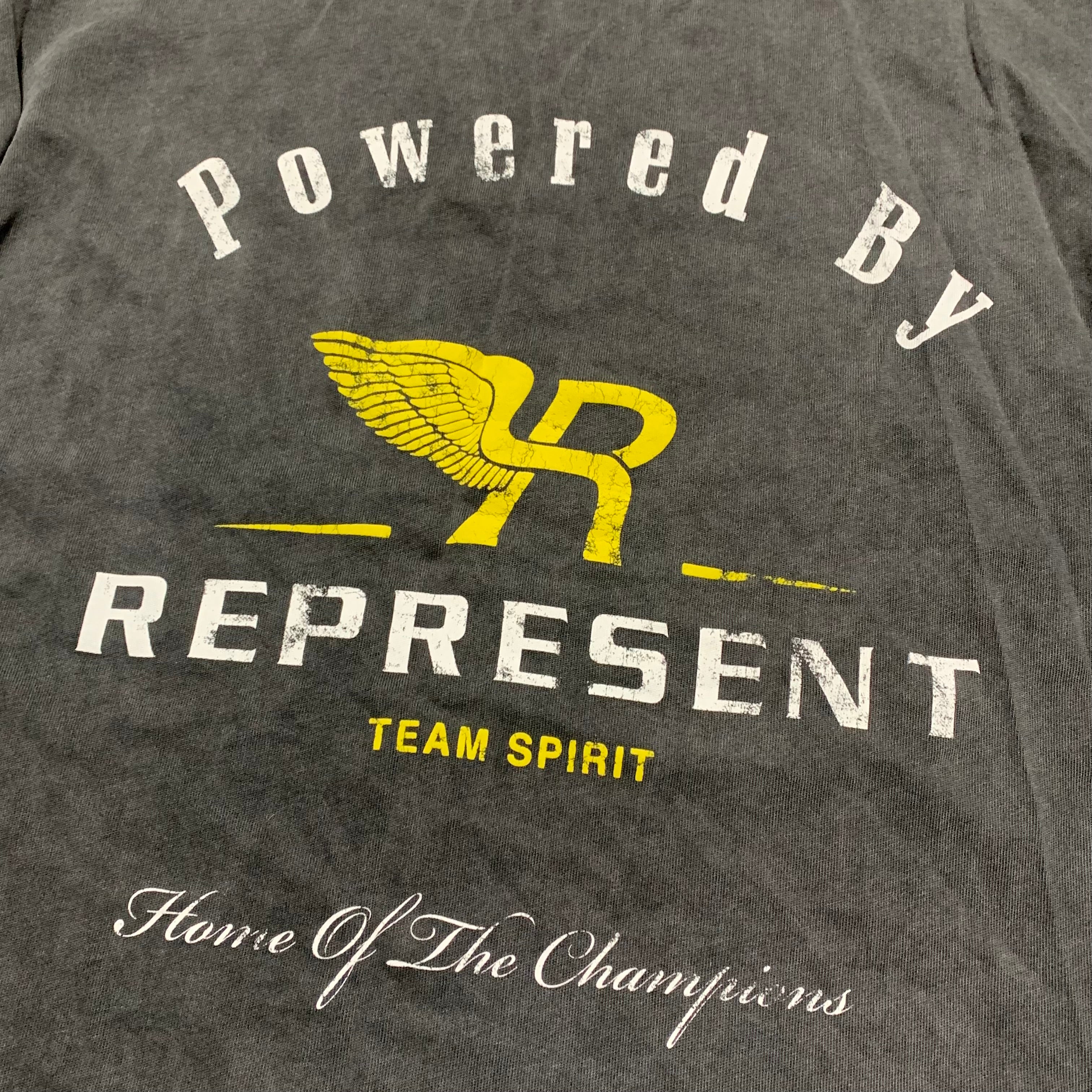 Represent XS Team Spirit Vintage Grey Tee