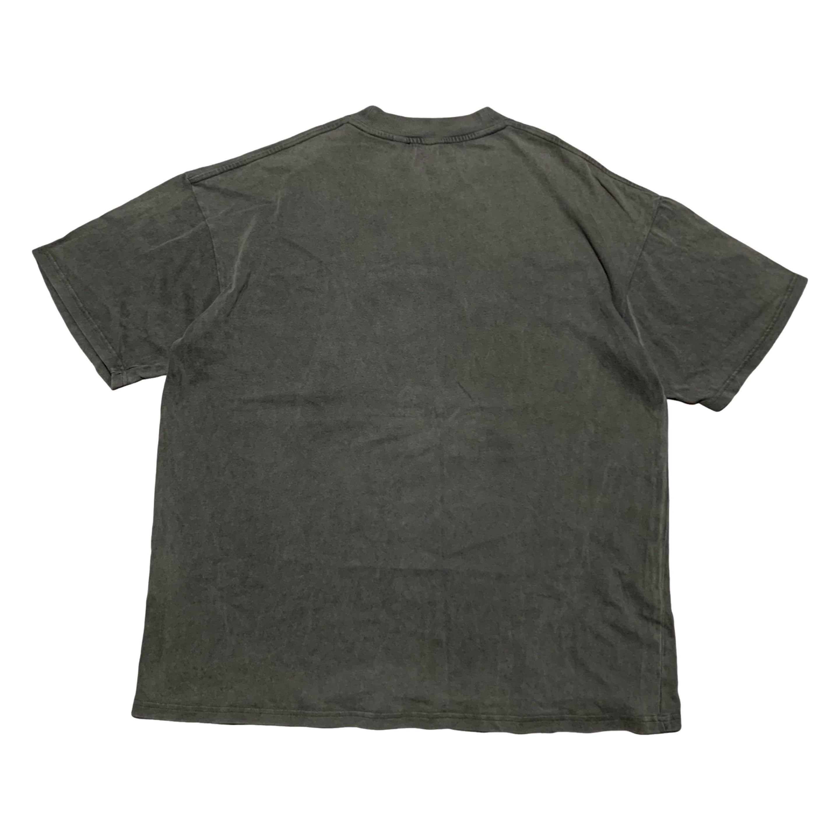 Represent Large Jaws Vintage Grey Tee Shark Graphic