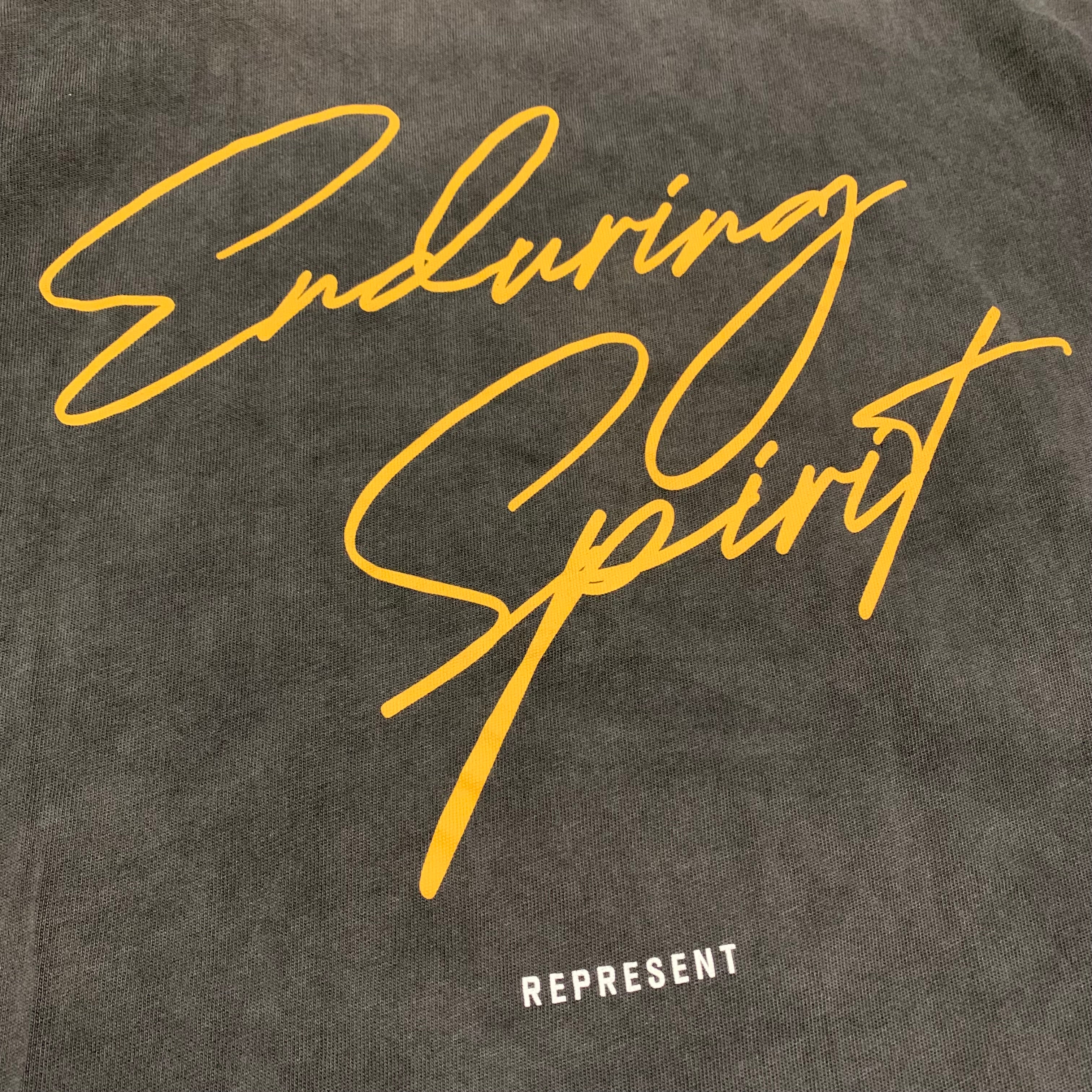 Represent Medium Enduring Spirit Vintage Grey Tee