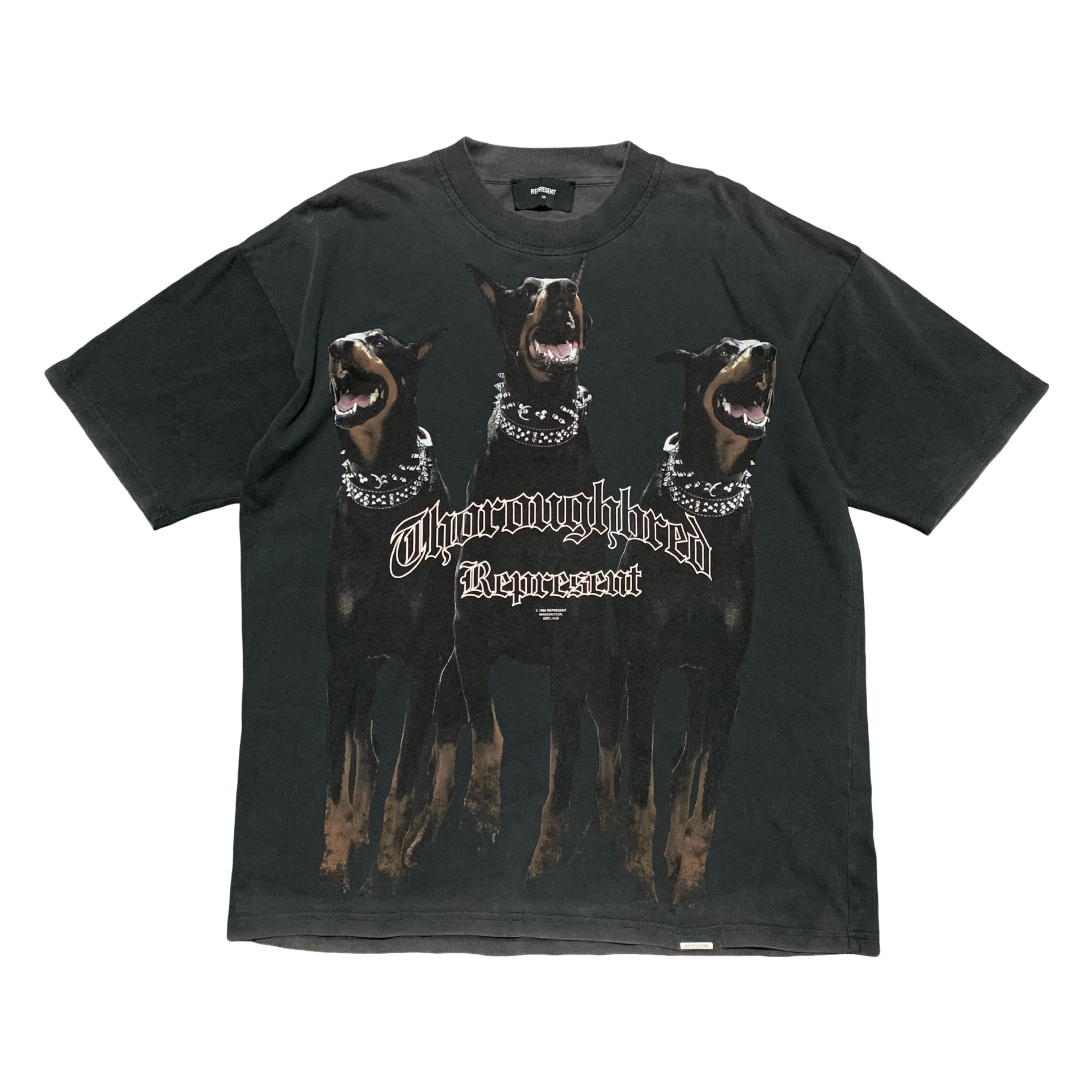 Represent XS Tee Thoroughbred Dog Vintage Black T-Shirt