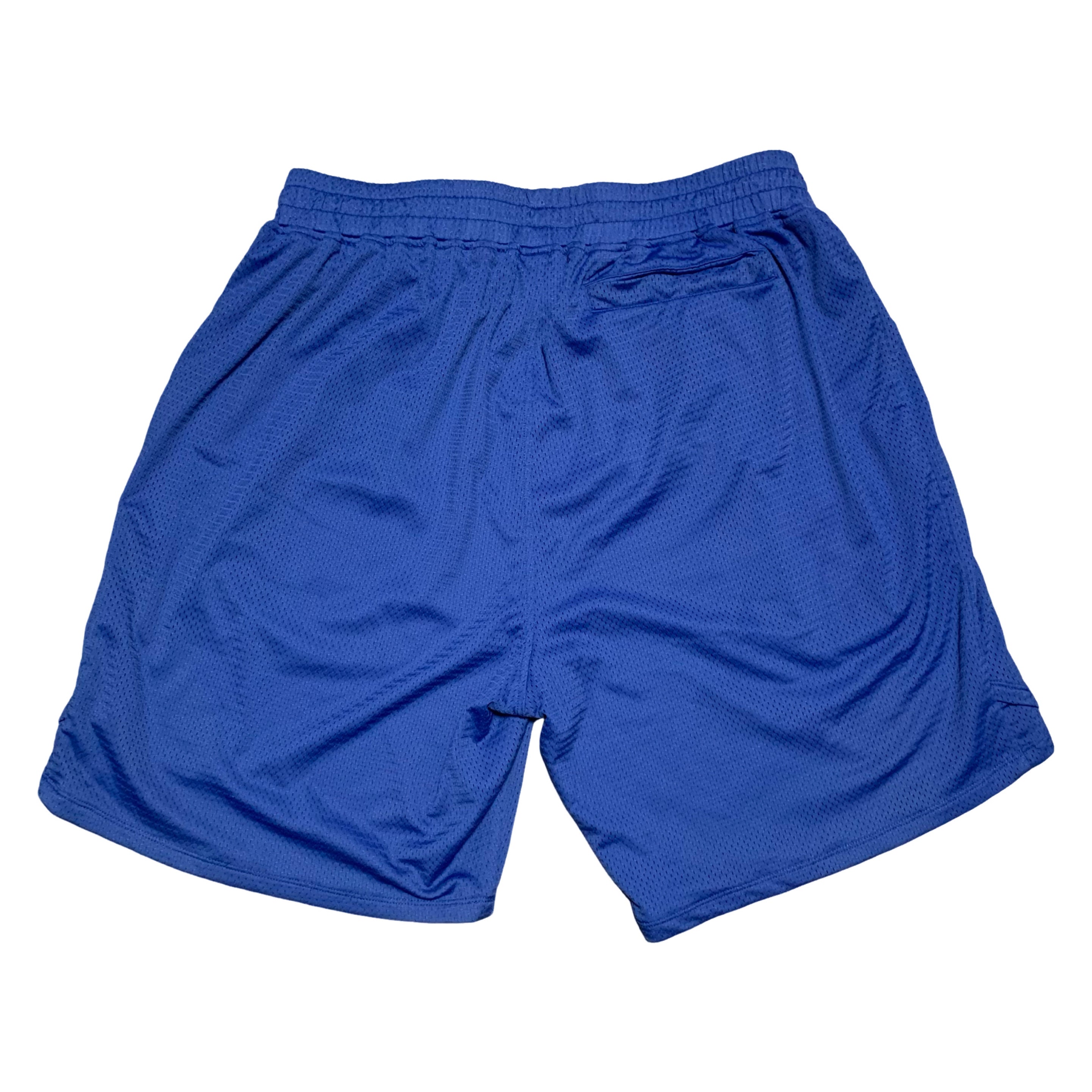 Represent XL Shorts Blue Mesh Bottoms
