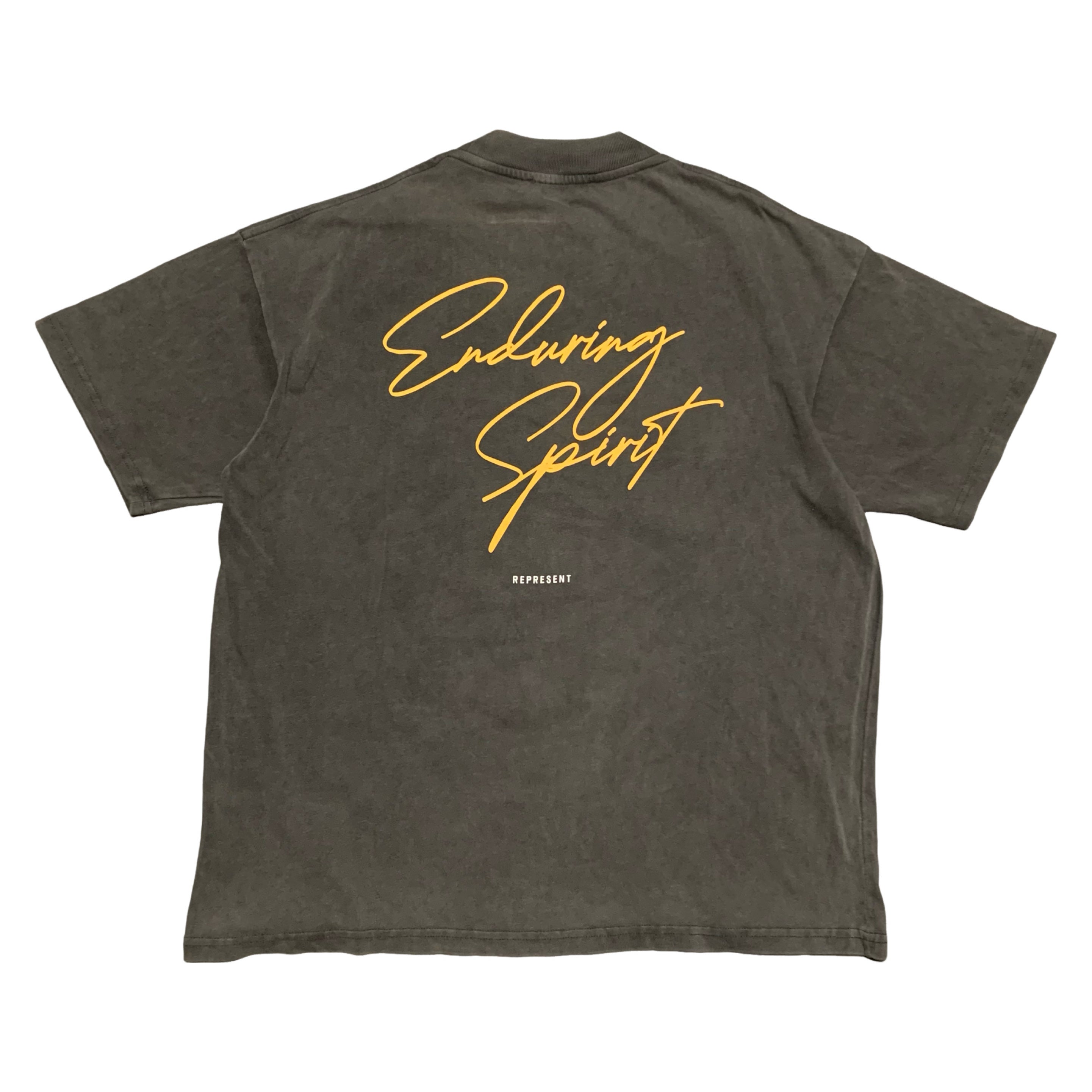 Represent Medium Enduring Spirit Vintage Grey Tee