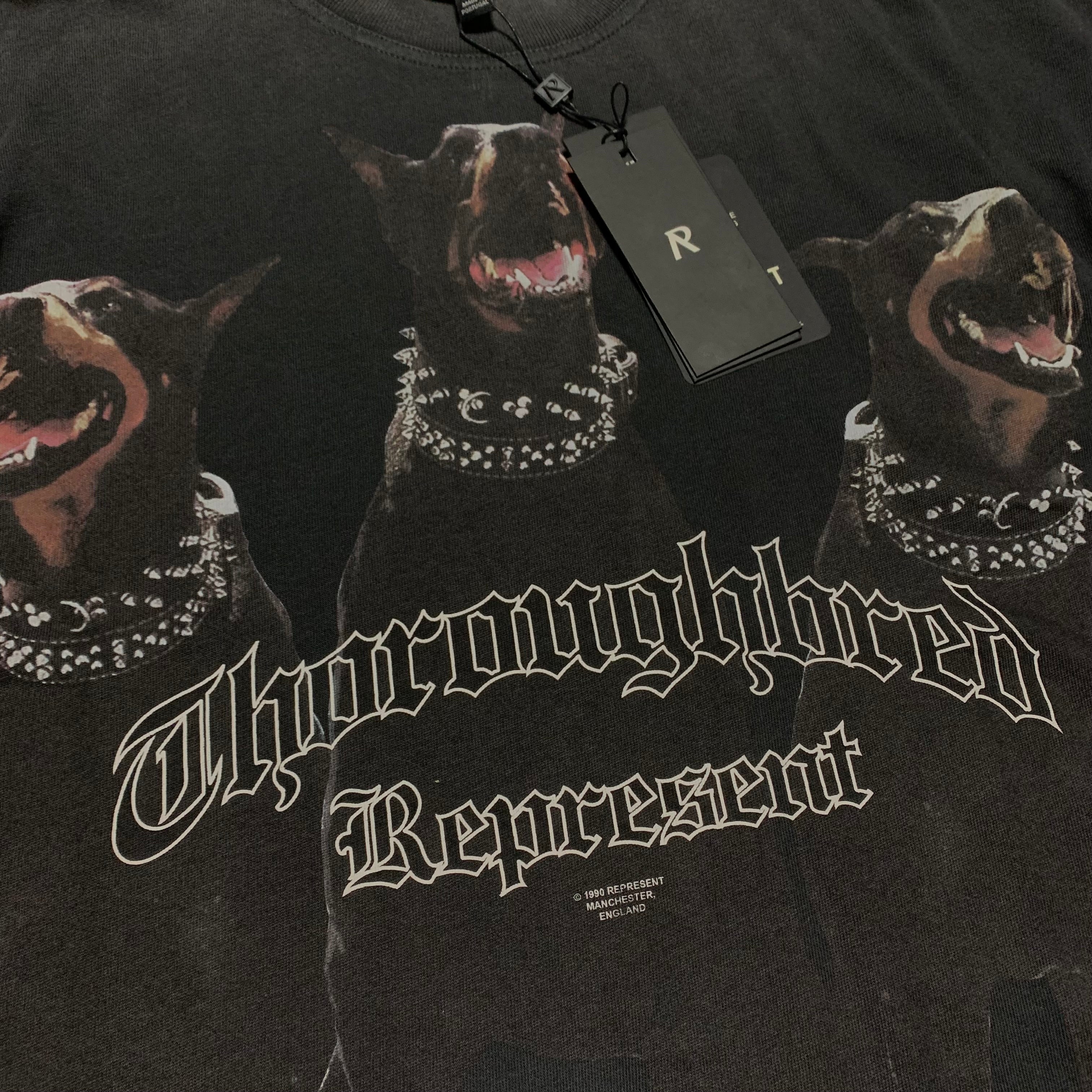 Represent Small Thoroughbred Vintage Black Tee Dog