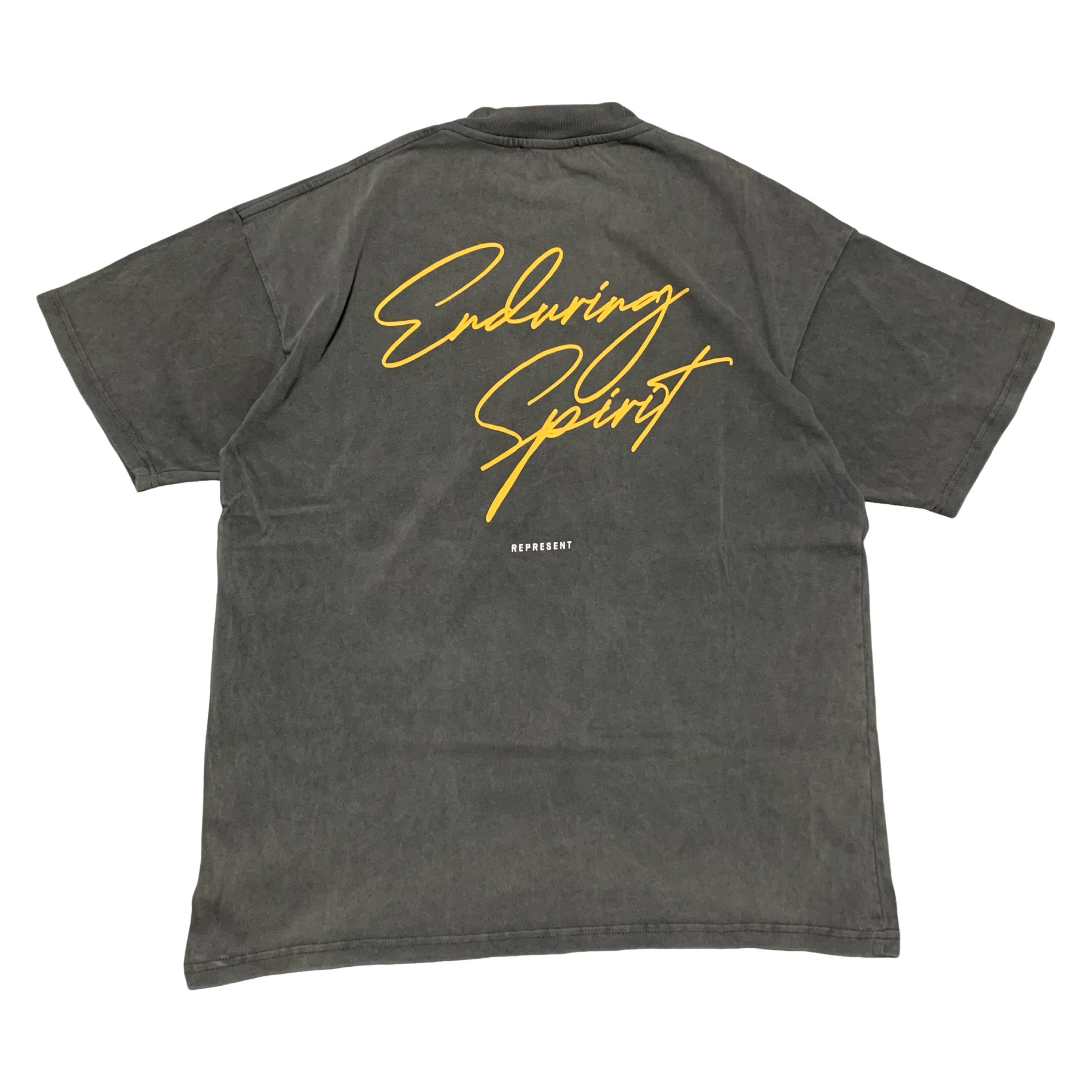 Represent Small Enduring Spirit Vintage Grey Tee