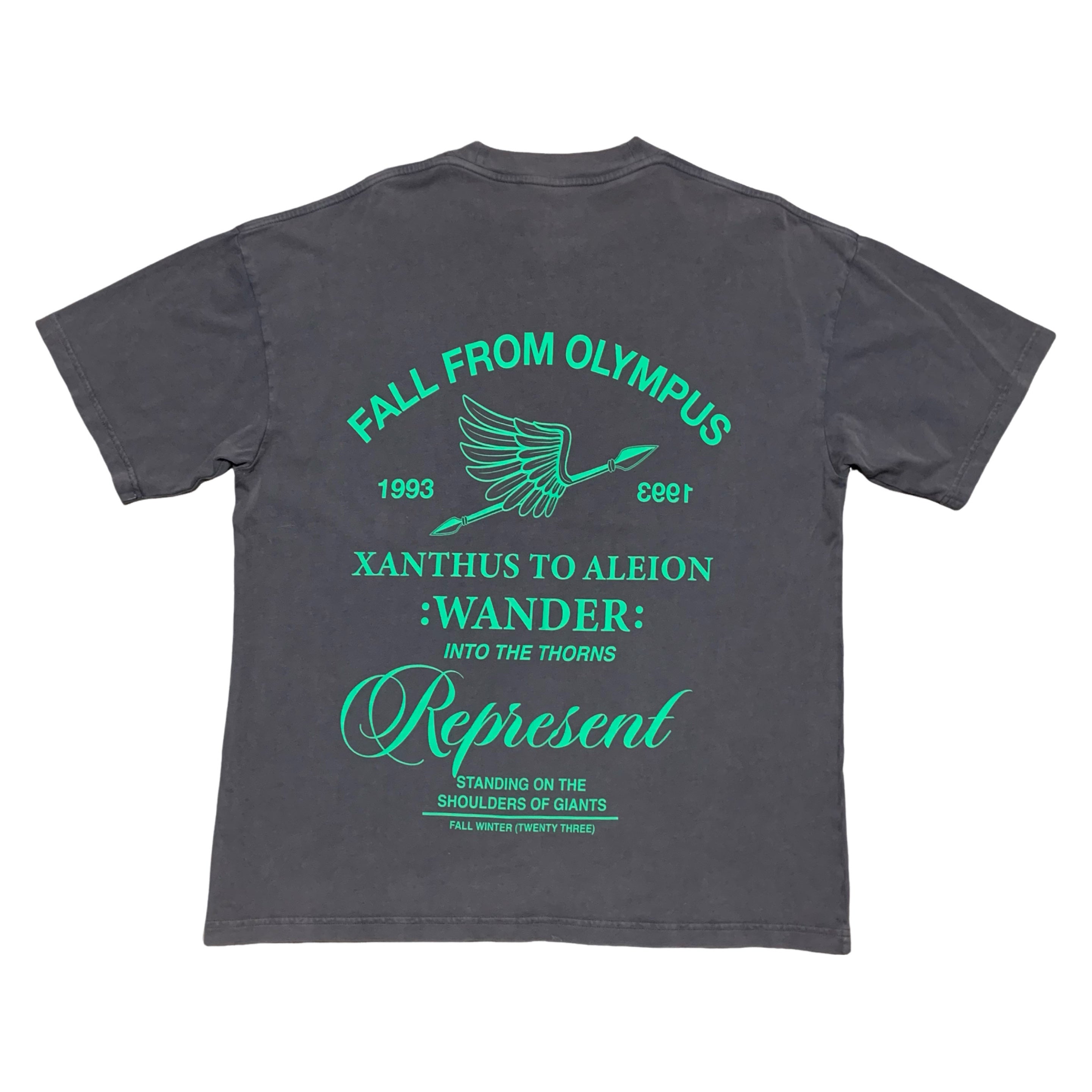 Represent XS Fall From Olympus Vintage Grey Tee