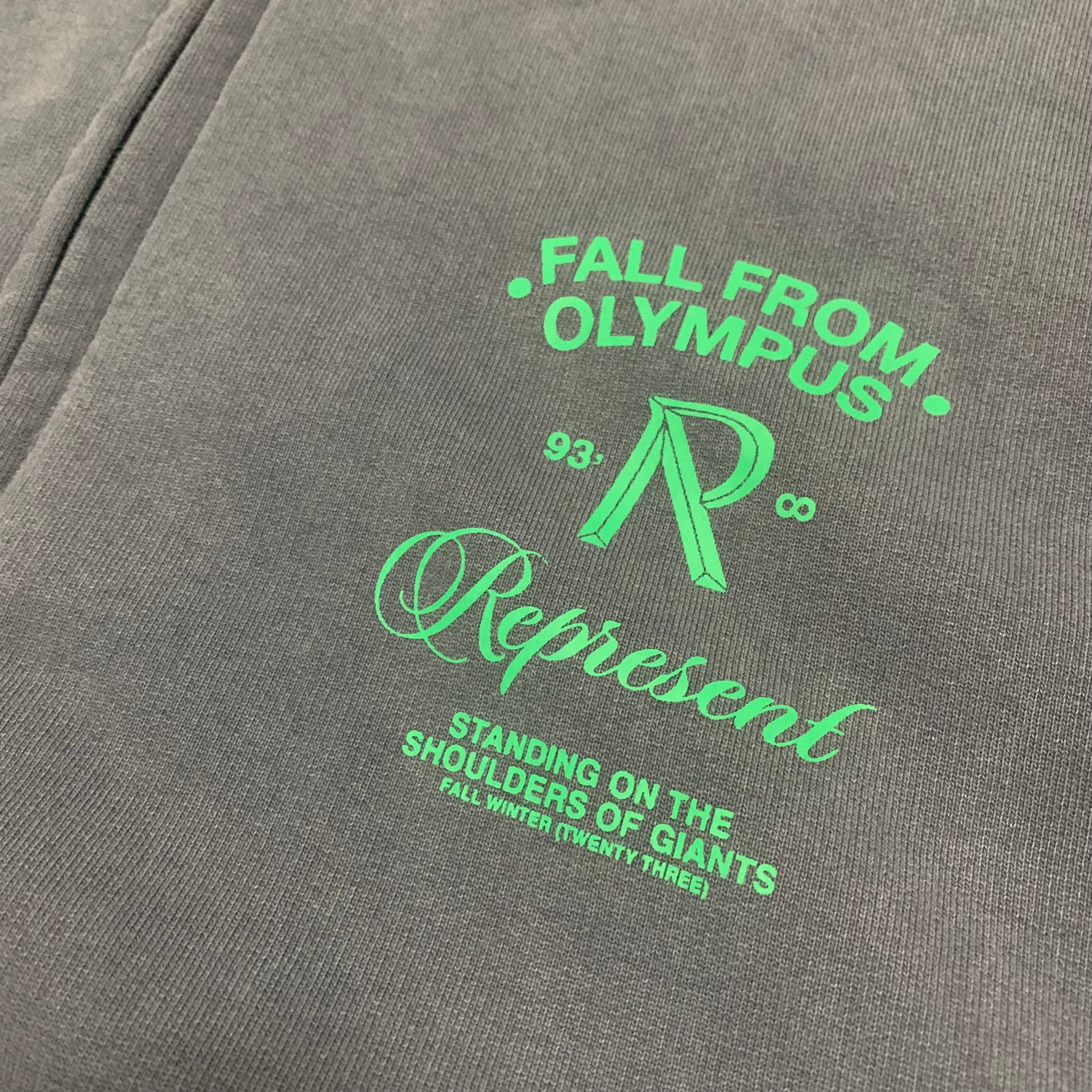 Represent XS Fall From Olympus Zip Hoodie Storm Grey