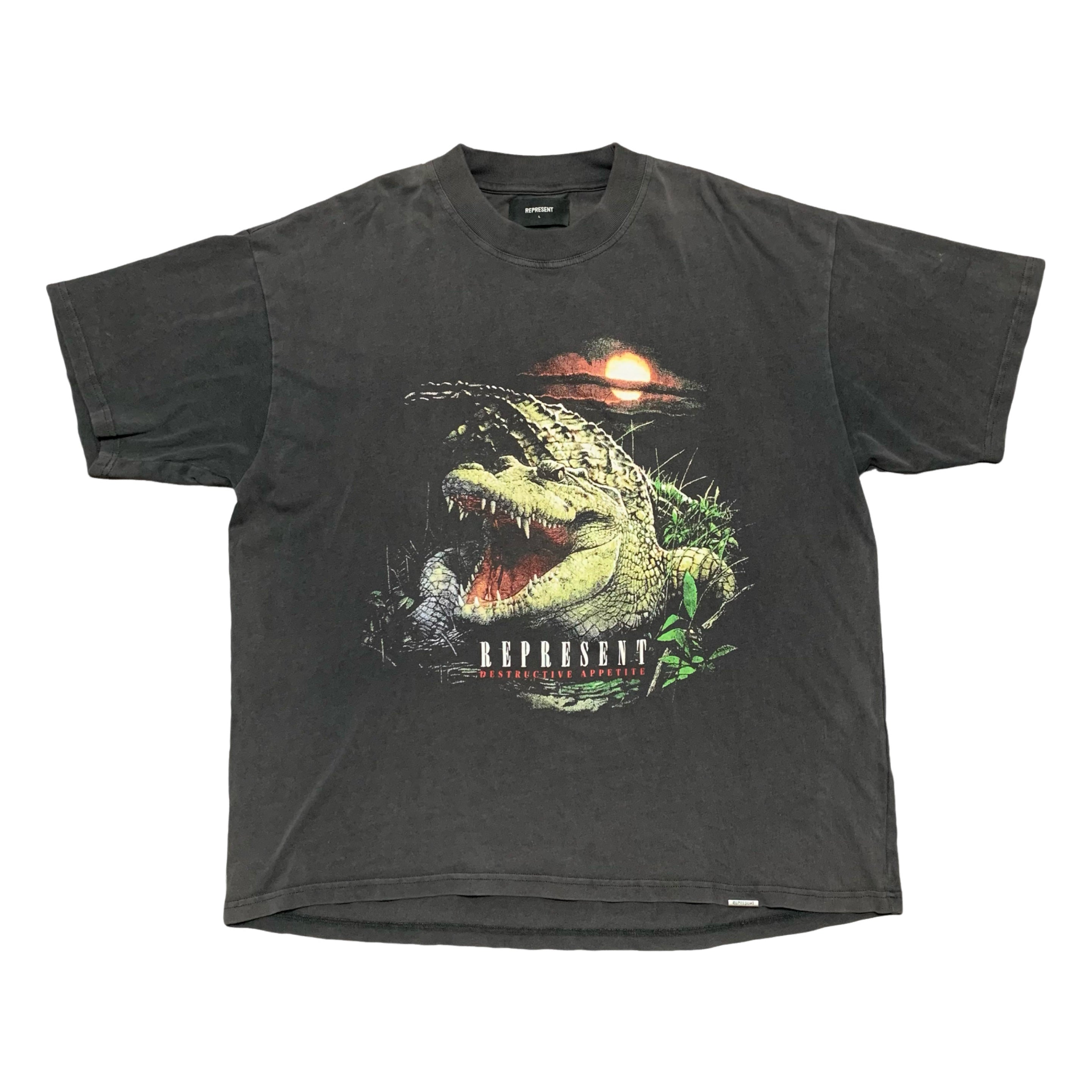 Represent Large Destructive Appetite Vintage Grey Tee