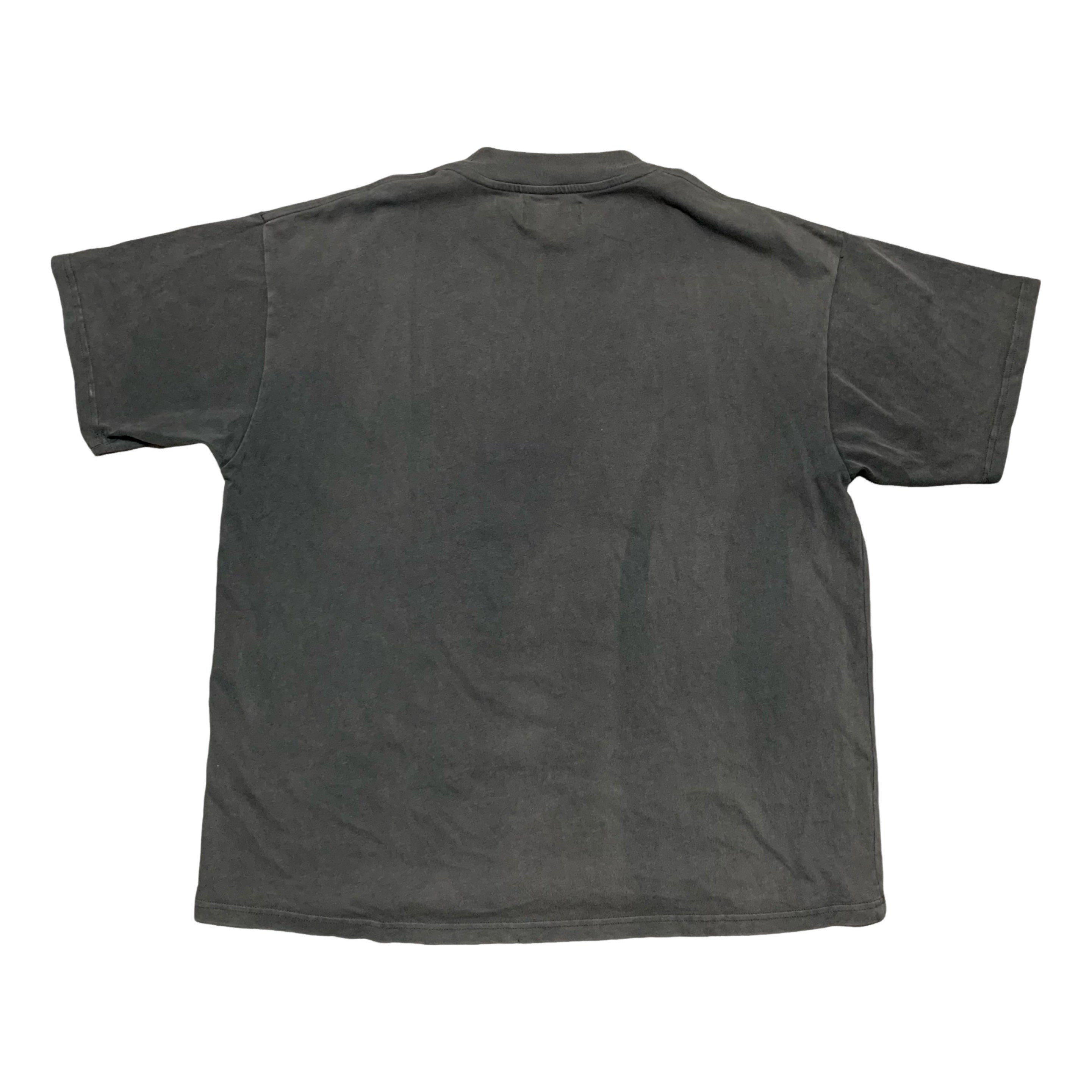 Represent Large Destructive Appetite Vintage Grey Tee