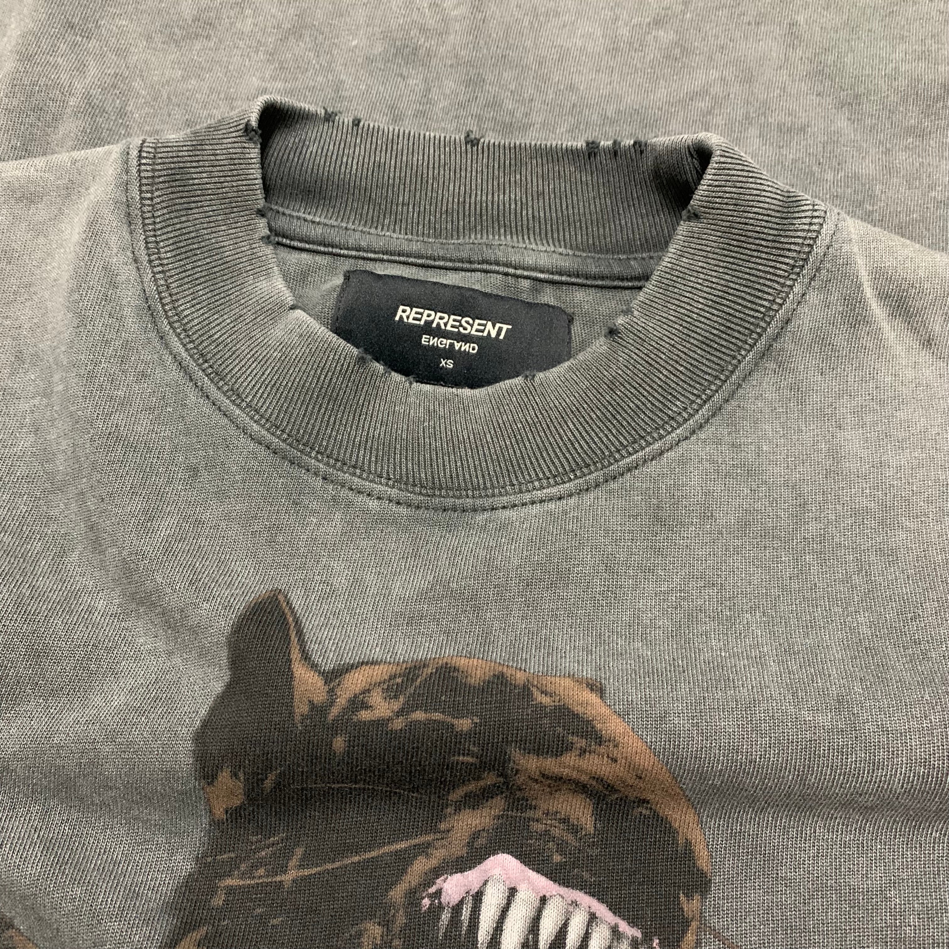 Represent XS Terrier Eagle Vintage Grey Tee