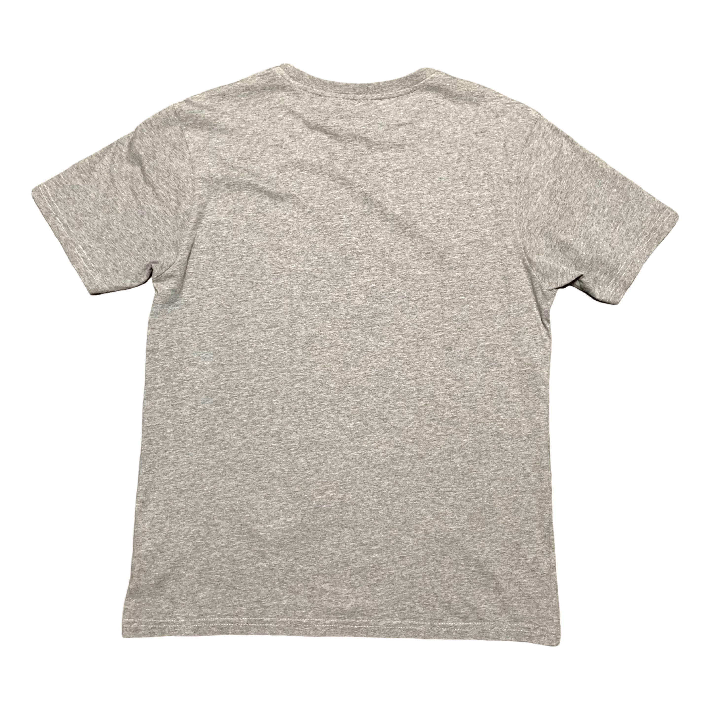 Palm Angels Small Plam Tree Graphic Grey Tee