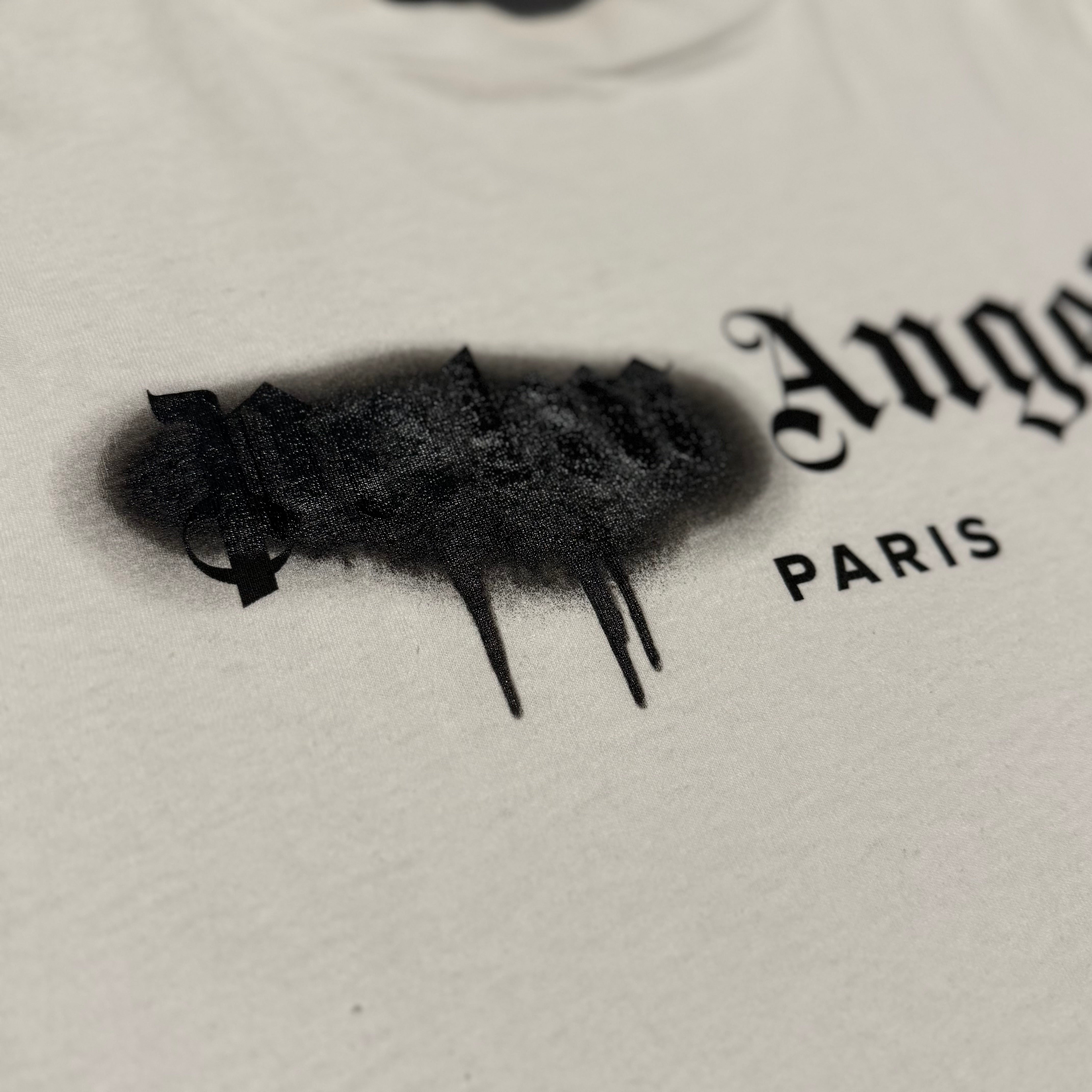 Palm Angels Small Paris Sprayed White Tee
