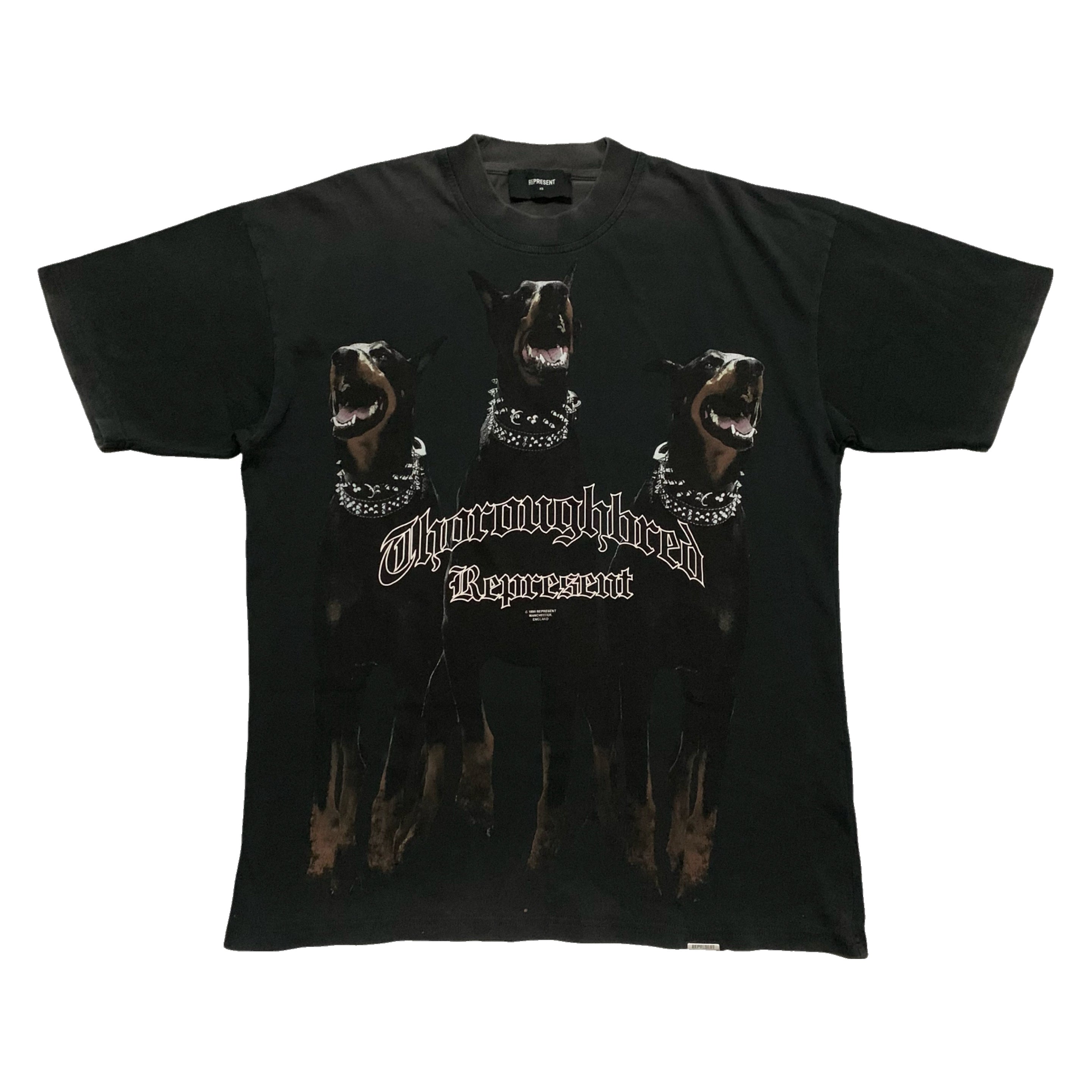 Represent XS Thoroughbred Dog Vintage Black Tee