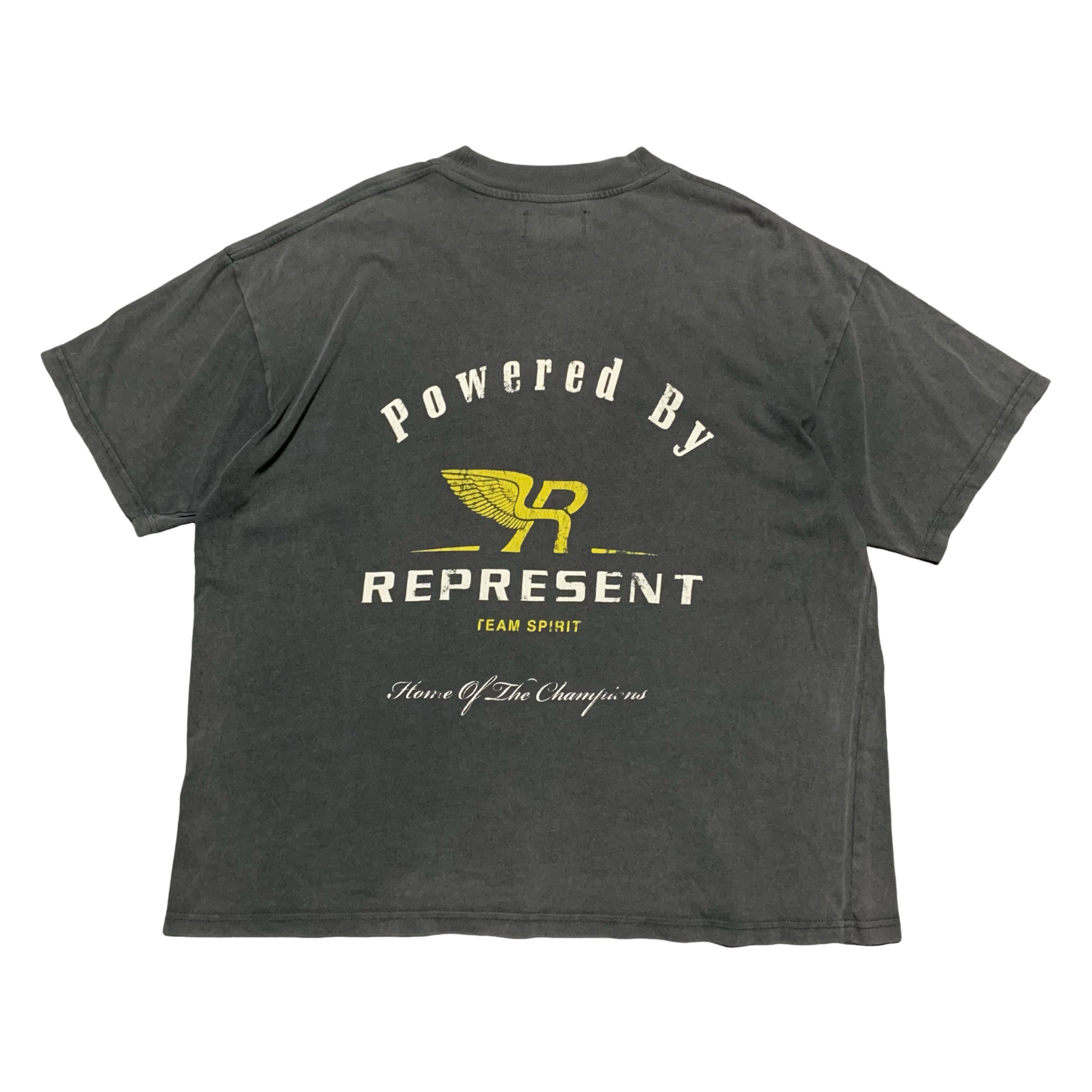 Represent Large Team Spirit Vintage Grey Tee