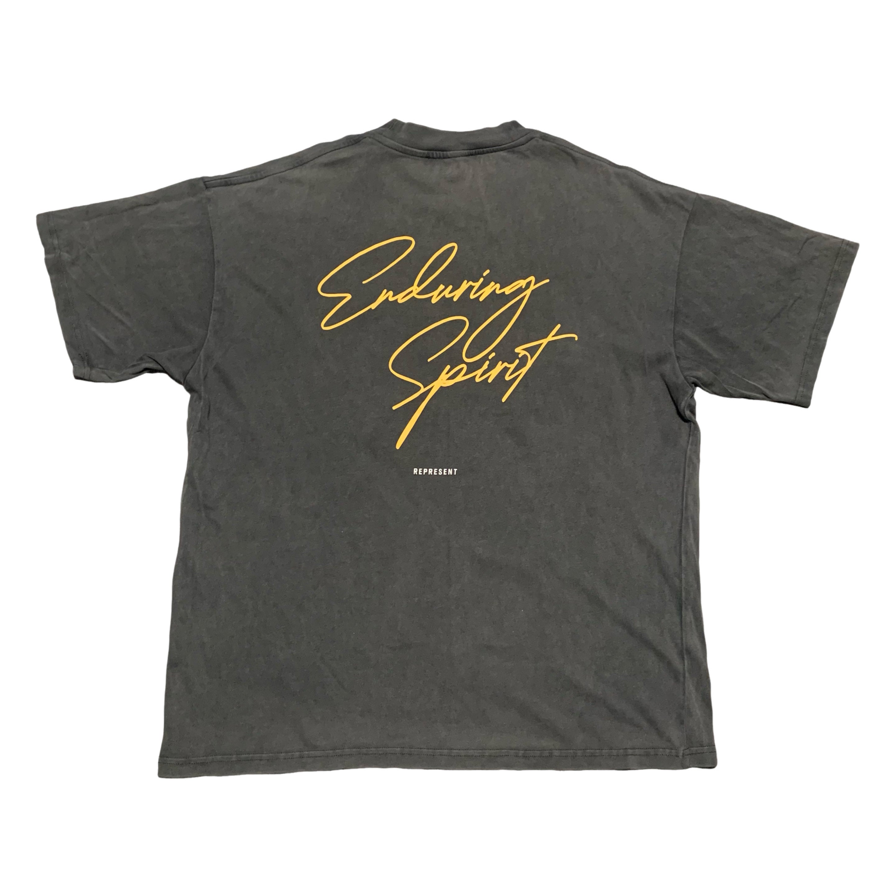 Represent Large Enduring Spirit Vintage Grey Tee