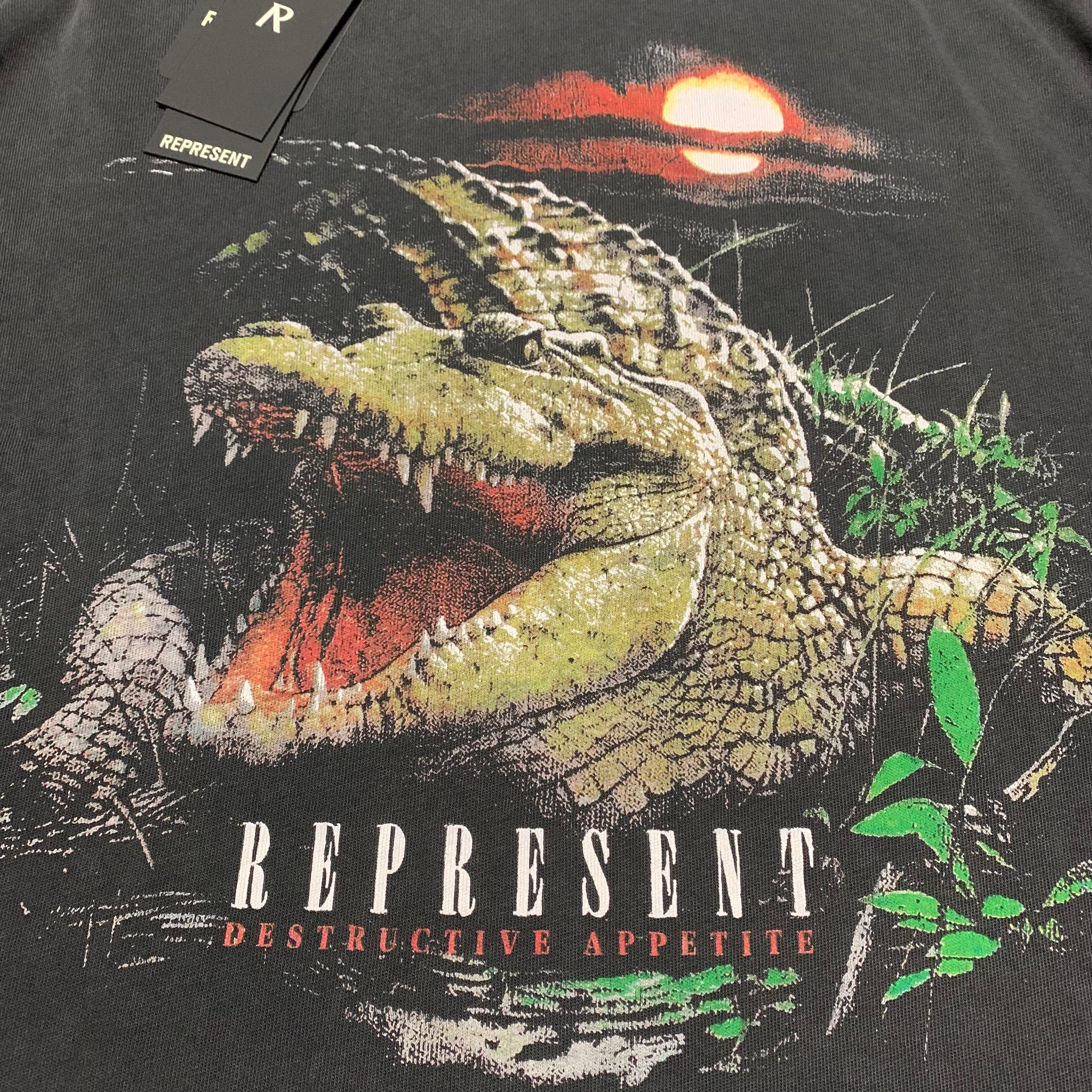 Represent Large Destructive Appetite Vintage Grey Tee