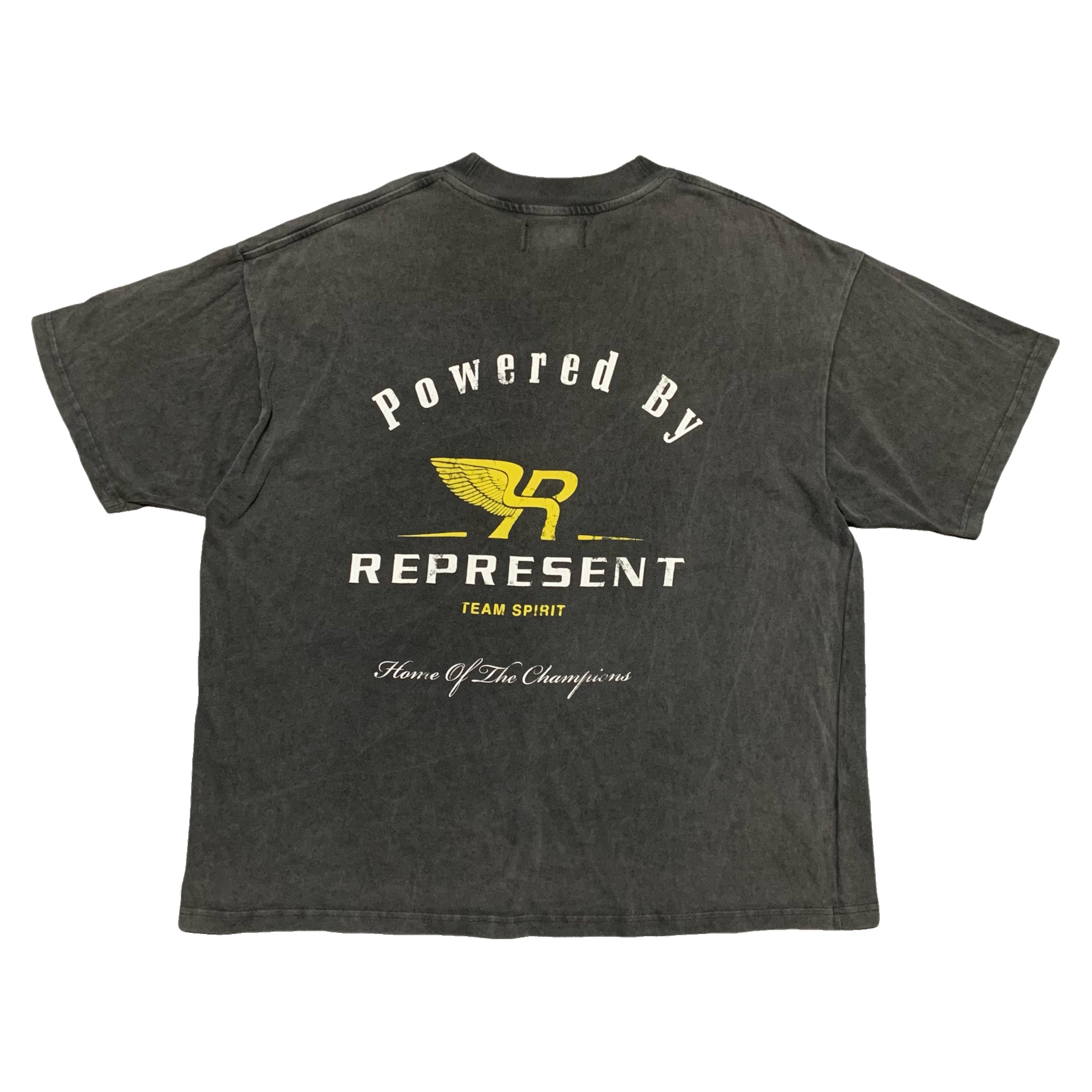 Represent Large Team Spirit Vintage Grey Tee