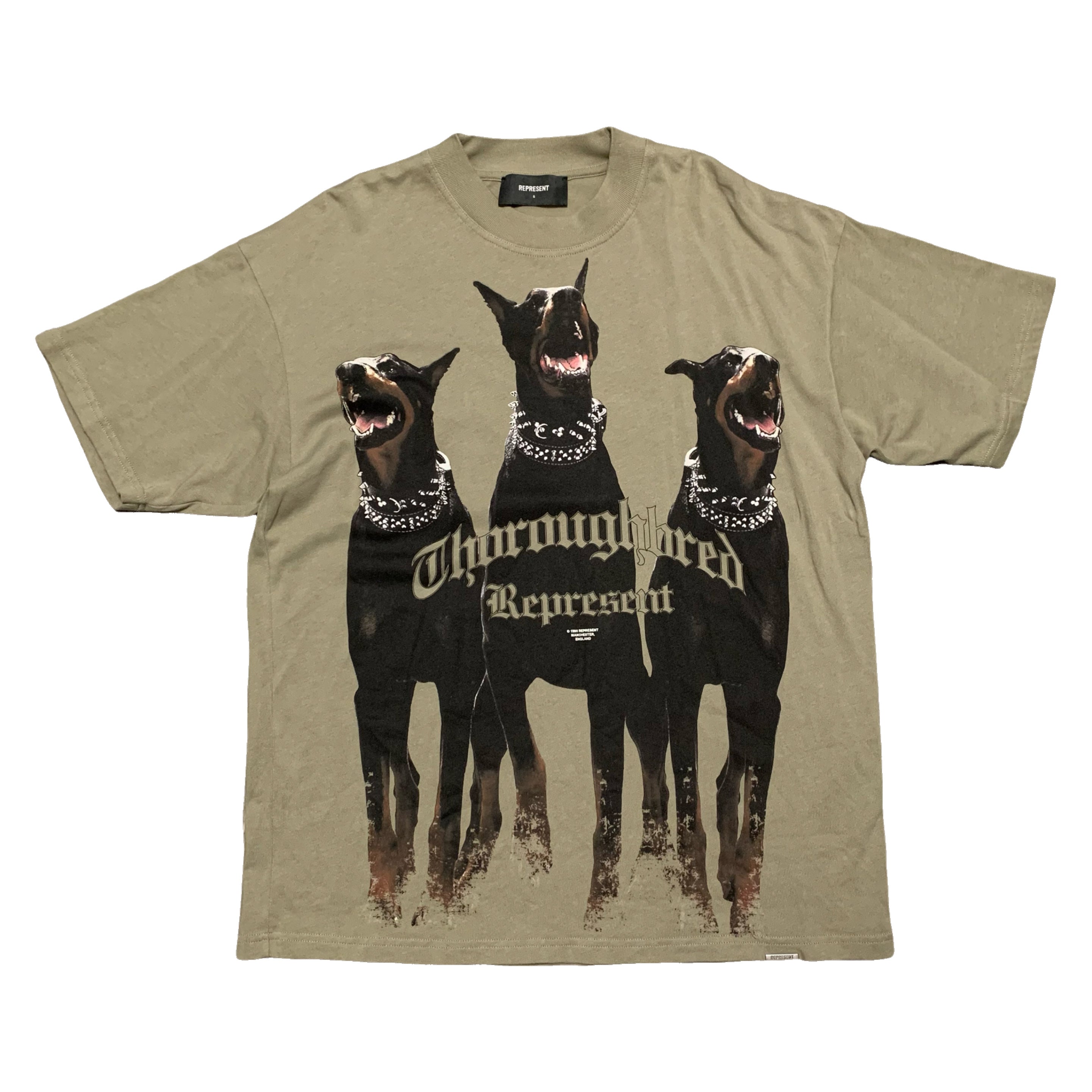 Represent Small Thoroughbred Dog Khaki Green Tee