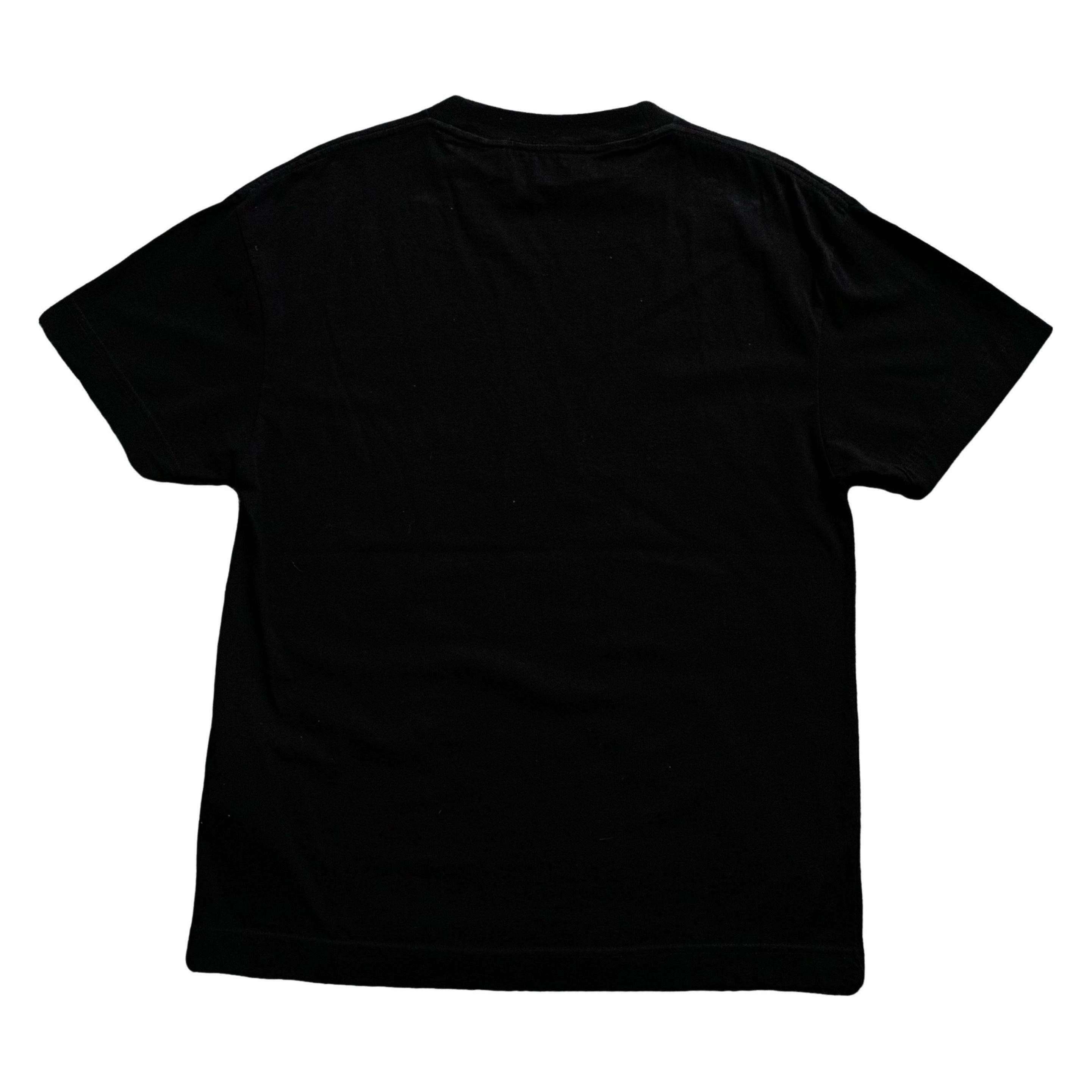 Palm Angels Small Tee Mountain Graphic Black T-Shirt