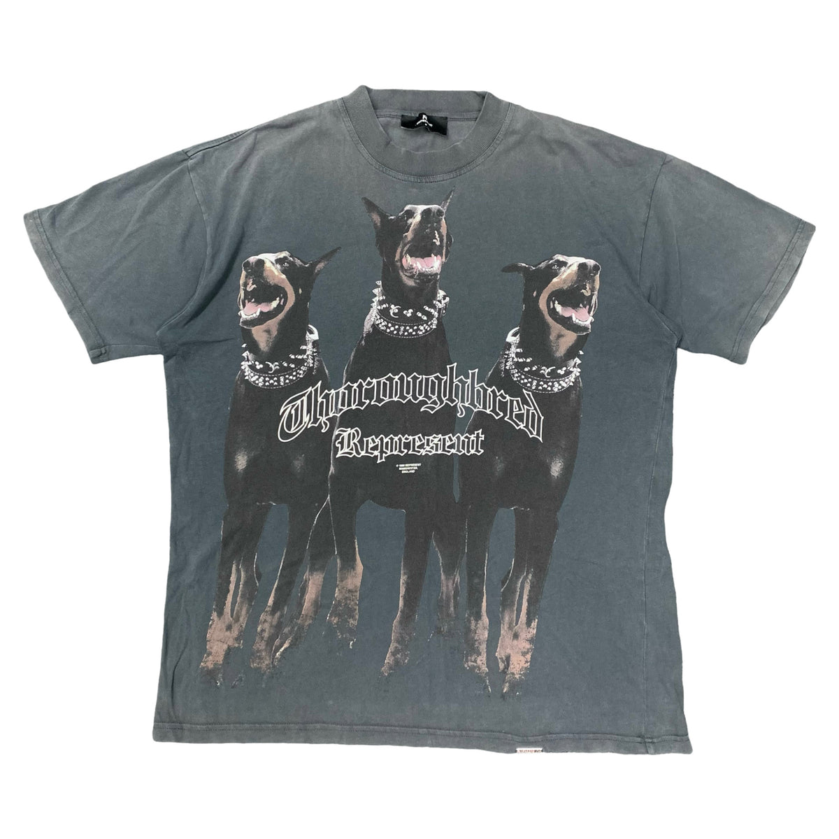 Represent Small Tee Thoroughbred Dog Vintage Black T-Shirt