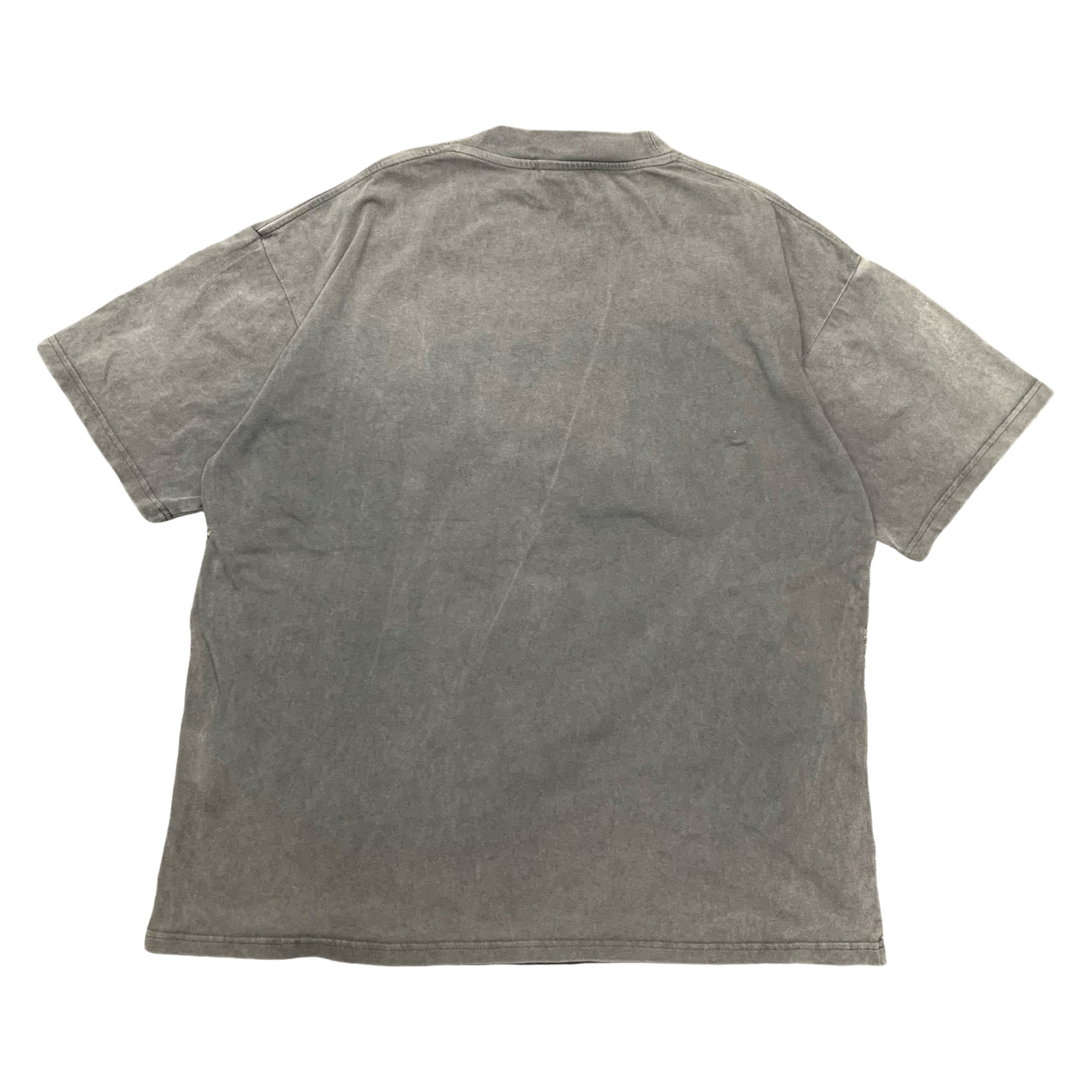 Represent Large Tee Take Me Higher Vintage Grey T-Shirt