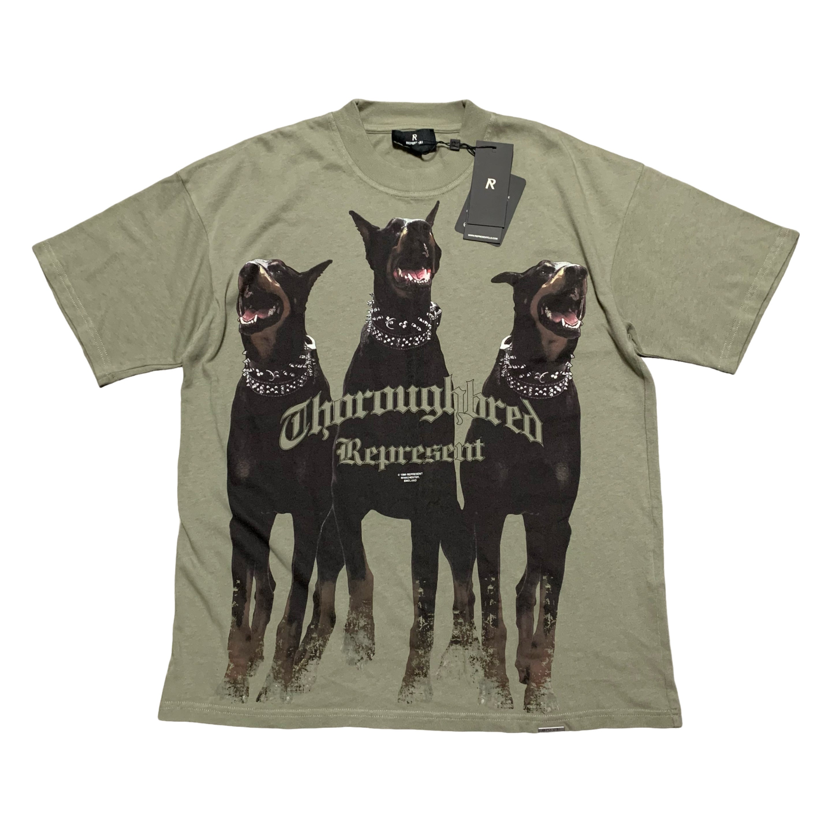 Represent XS Thoroughbred Dog Khaki Green Tee